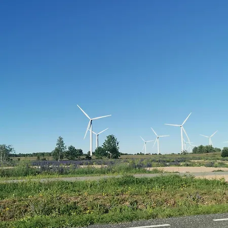 Cozy Next To Harbor *