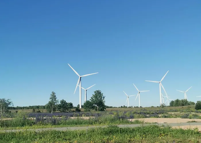 Cozy Next To Harbor *